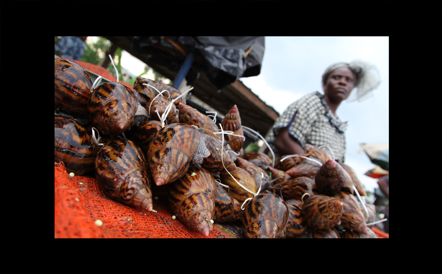 Côte d’Ivoire